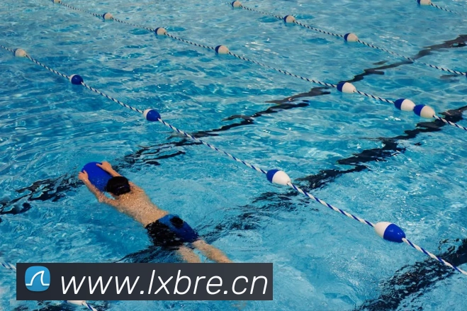 开云app官方版在线入口平台生态图