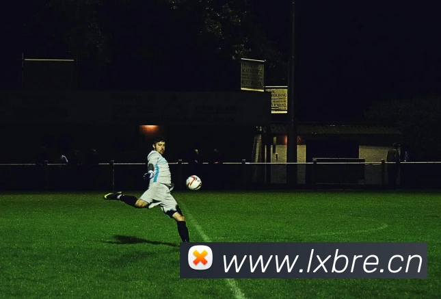 开云app官方版在线入口全站App